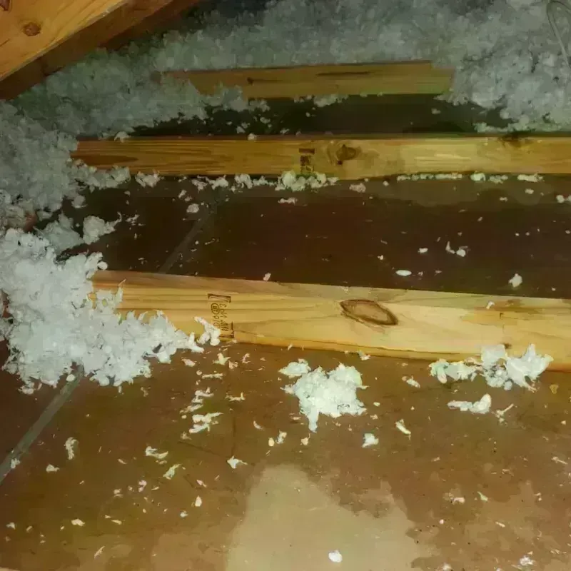 Attic Water Damage in Parma Heights, OH