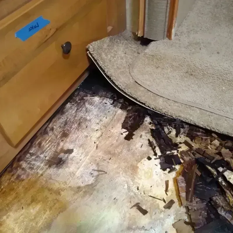 Wood Floor Water Damage in Parma Heights, OH